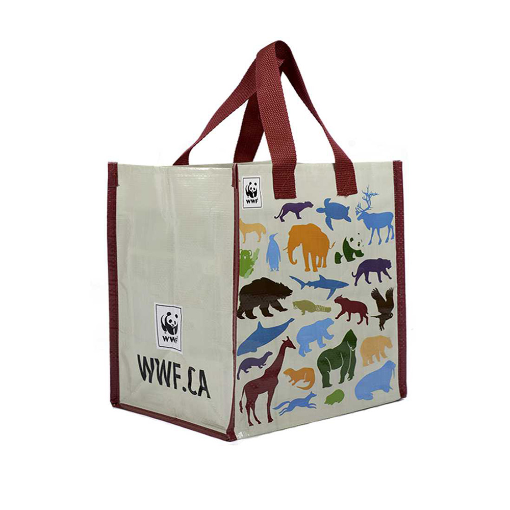 lamination Non Woven Bag