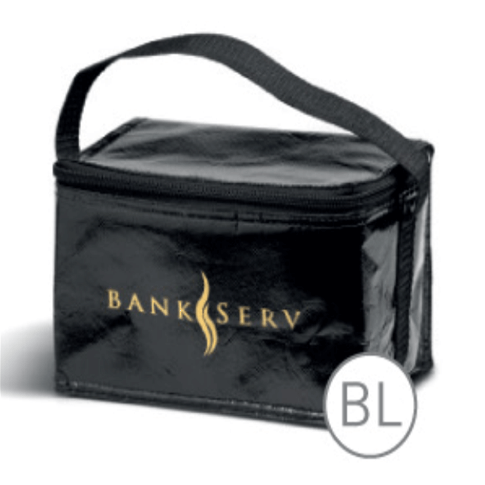 Insulated Cooler Bag