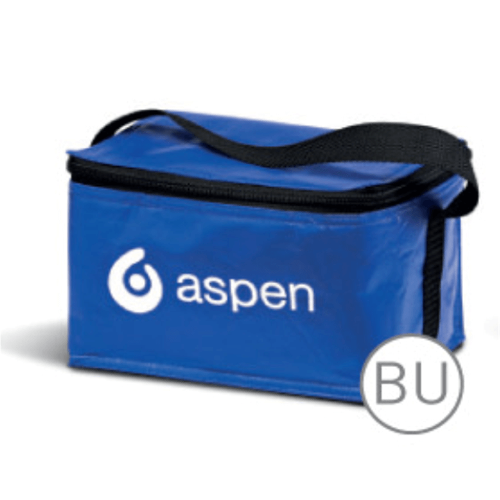 Insulated Cooler Bag