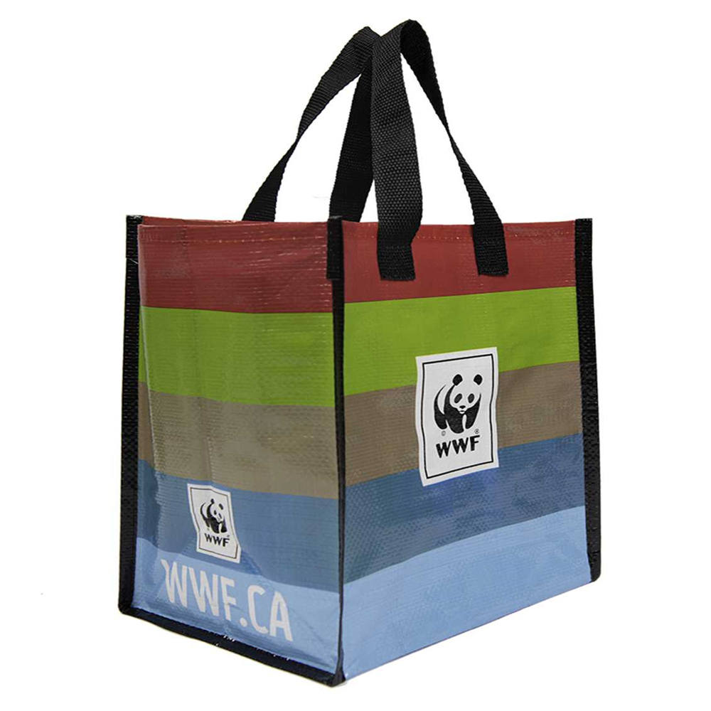 lamination Non Woven Bag