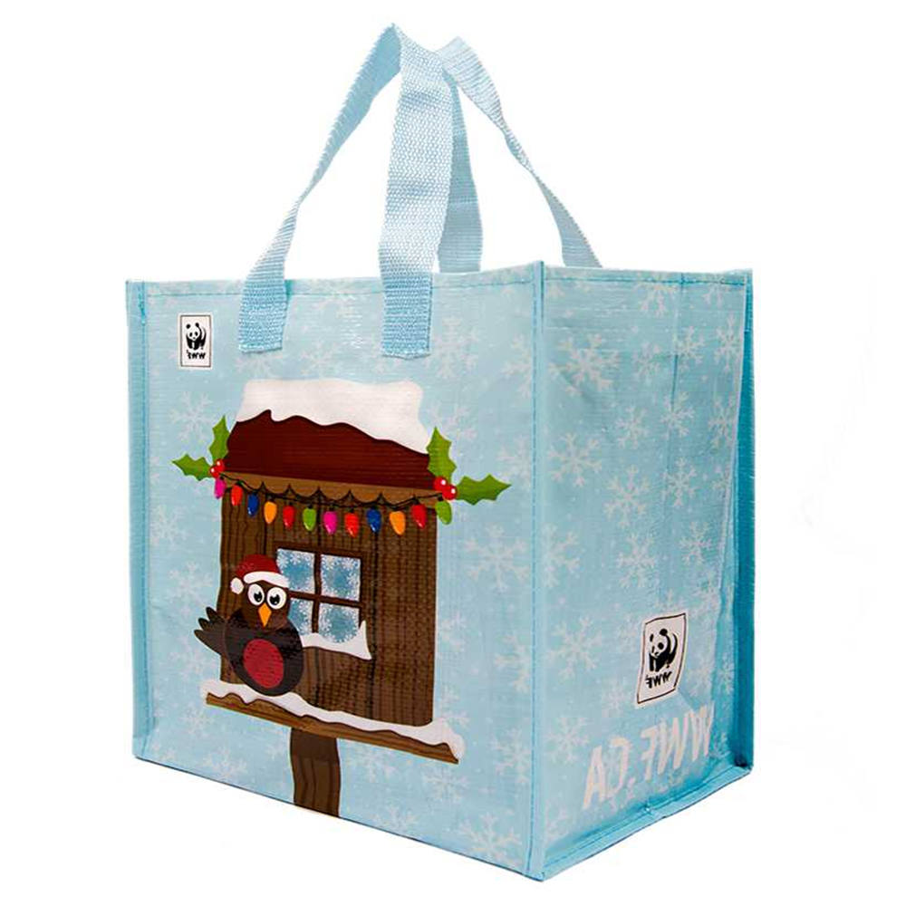 lamination Non-Woven Bag