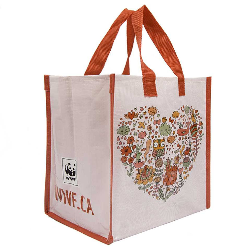 lamination Non-Woven Bag