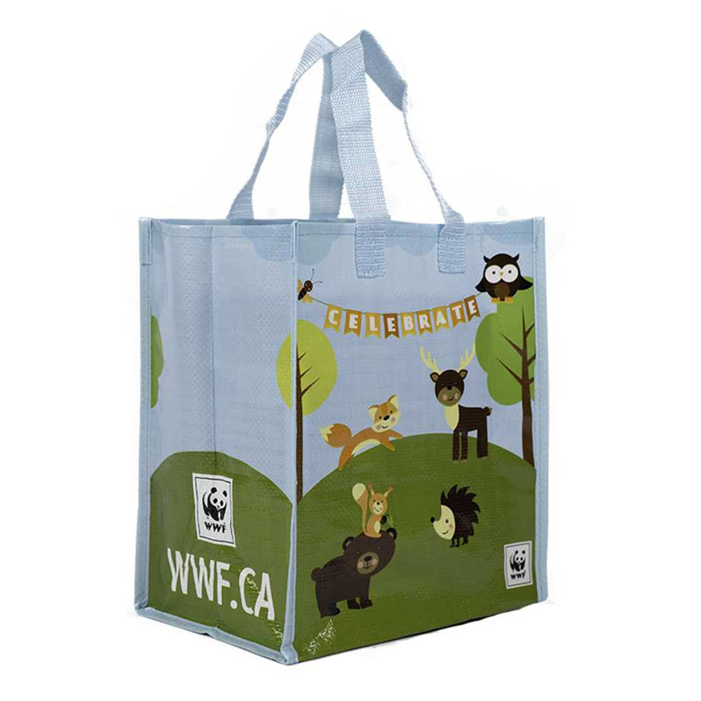 lamination Non-Woven Bag